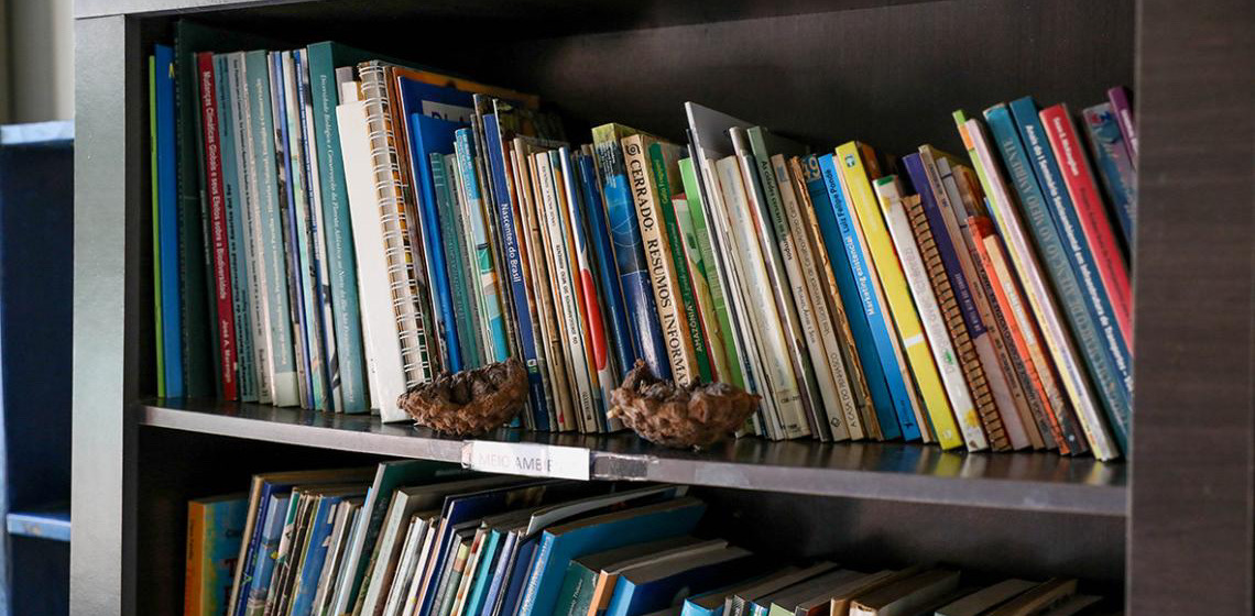 Parque Ecológico Olhos D’Água abriga biblioteca organizada pela comunidade