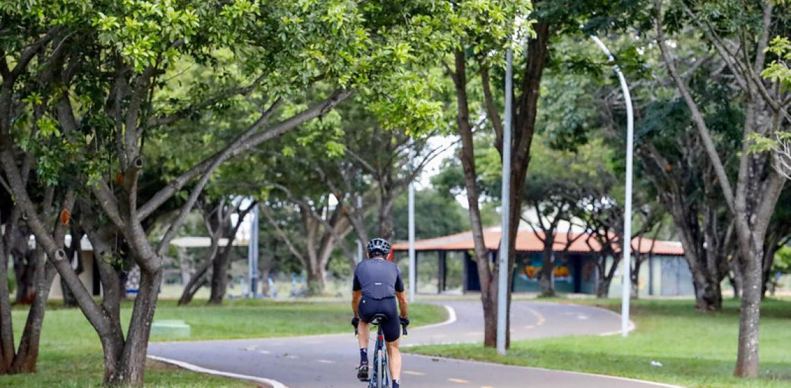 Cidade-parque, Brasília é a quinta capital mais arborizada do país