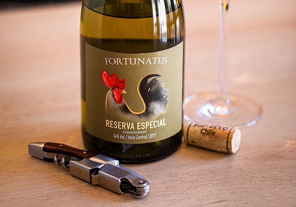 Inverno combina com bons pratos e vinho? Sim!