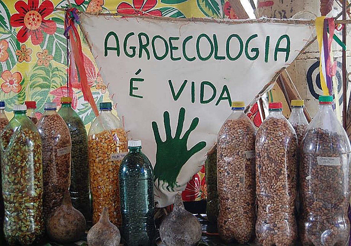 Movimento agroecológico contribui na equipe de transição com propostas de combate à fome