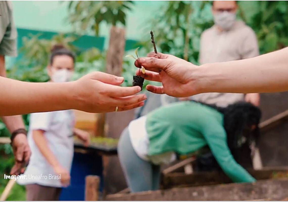 Você sabe o que é alimentação ecológica? Entenda os benefícios para o nosso corpo e o planeta