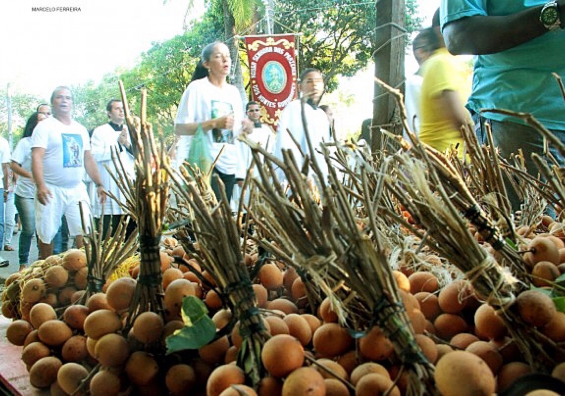 Pitomba: fruta 