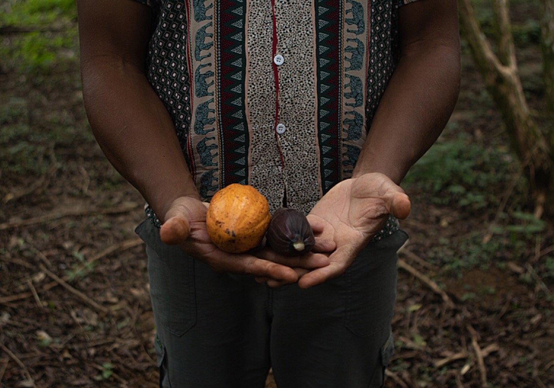 Em Ubatuba, agrofloresta favorece resgate da cultura alimentar quilombola ameaçada 