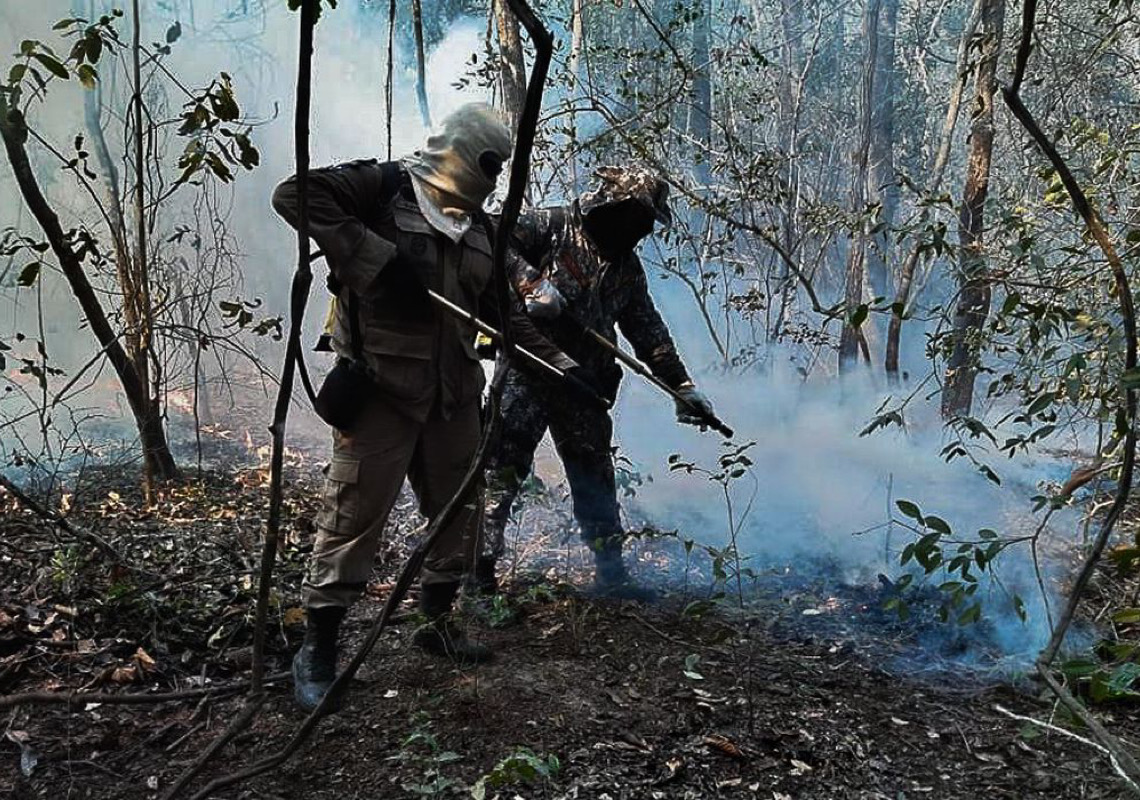 Incêndios queimaram 30% de área do Pantanal em 2020, mostra estudo 