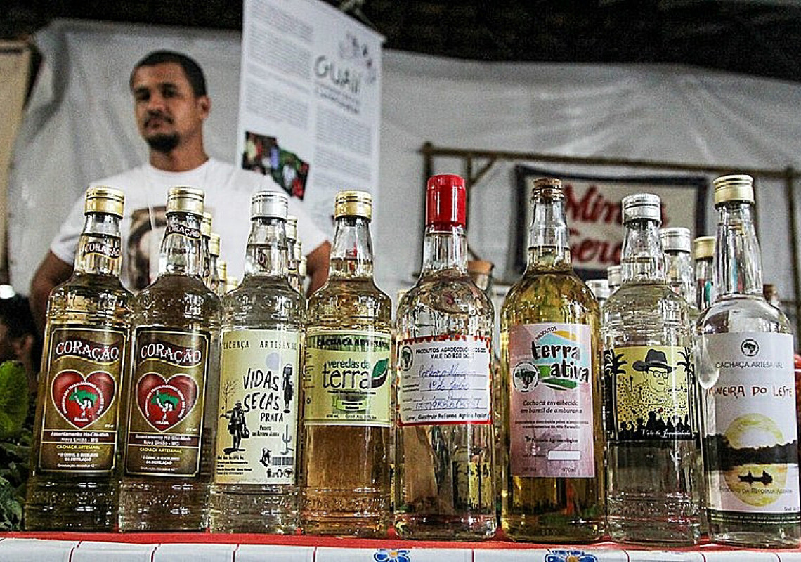 Conheça um pouco da história da bebida e marcas produzidas por assentamentos da reforma agrária