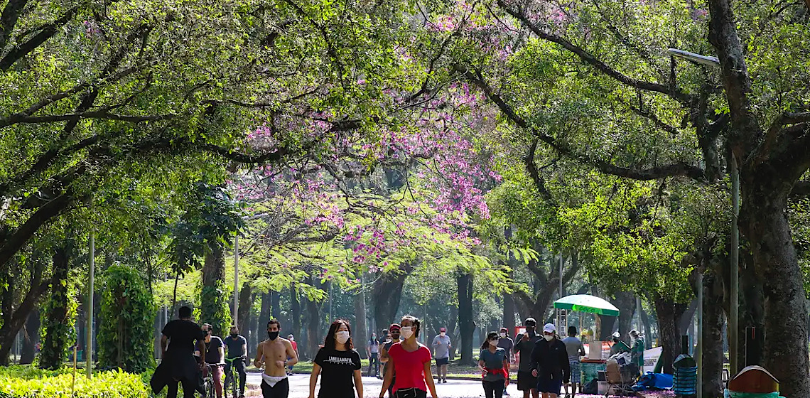 Brasil supera marca de quatro milhões de turistas internacionais recebidos em 2024