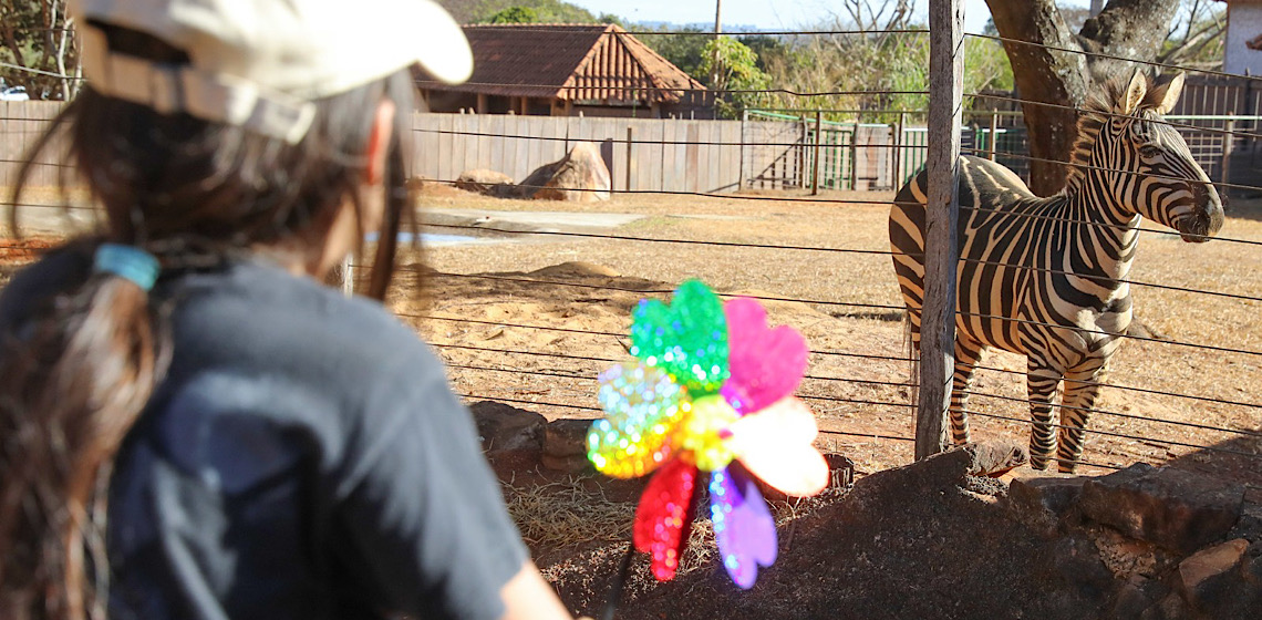 Zoo de Brasília recebe brinquedos para campanha Vem Brincar Comigo 2024