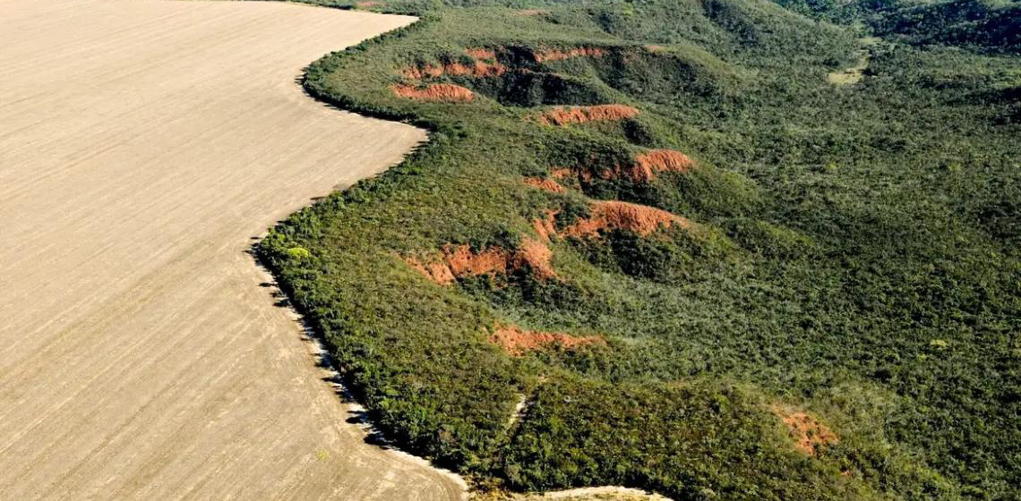 Cerrado: desmatamento emite 135 milhões de toneladas de CO2 desde 2023