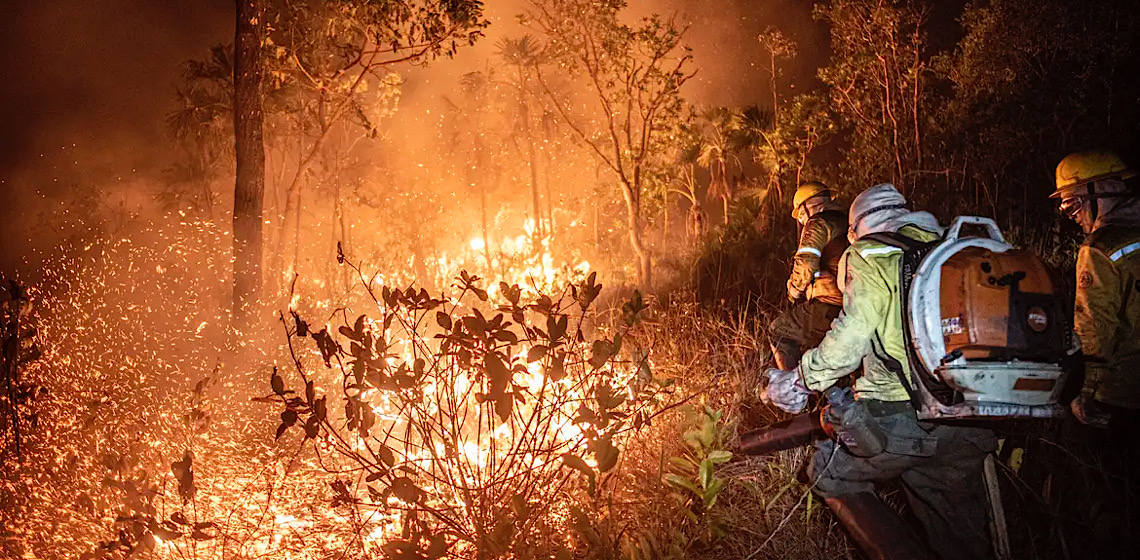 Monitoramento mostra que 99% dos incêndios são por ação humana