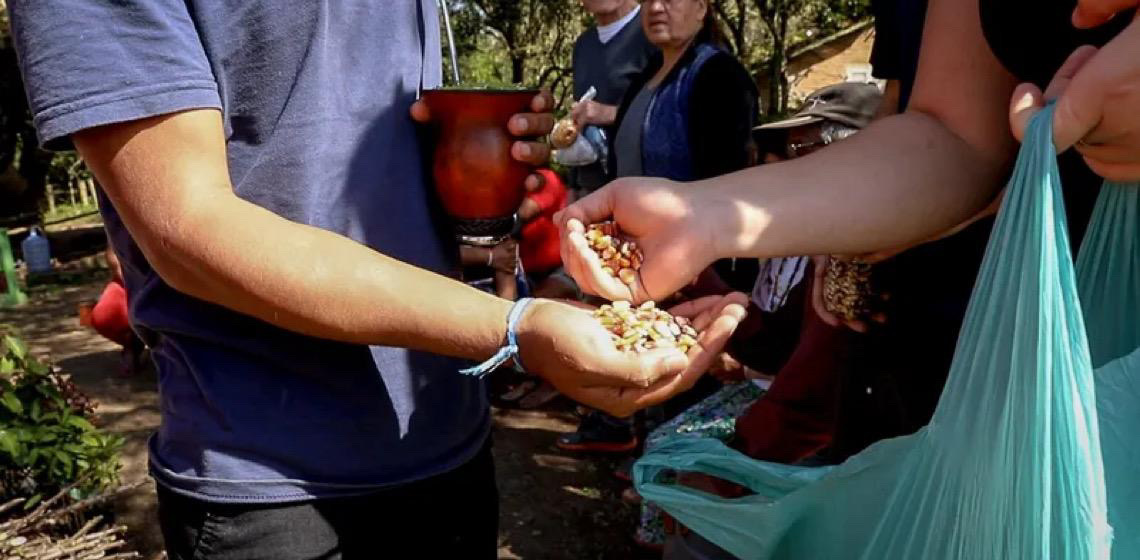 Retomada Mbyá Guarani atingida por enchentes no RS recebe sementes para reflorestamento e preservação cultural