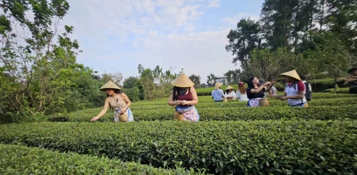 Jornalistas latino-americanos exploram iniciativas de sustentabilidade e turismo rural em Sichuan