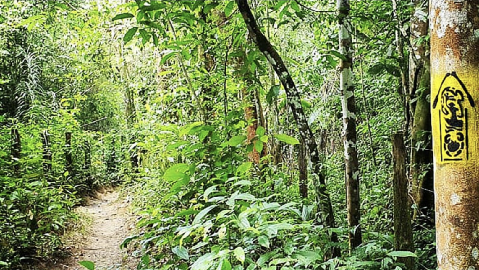 Trilha Amazônia Atlântica agora integra Rede Nacional de Trilhas de Longo Curso