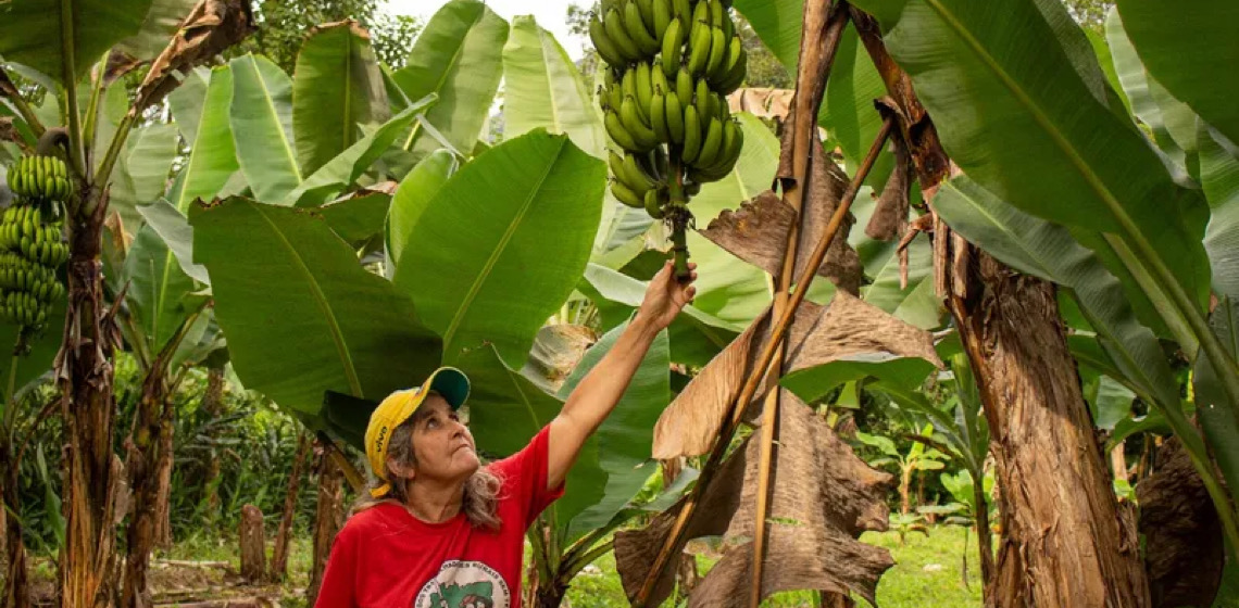 Agroecologia: o caminho necessário para enfrentar a crise ambiental