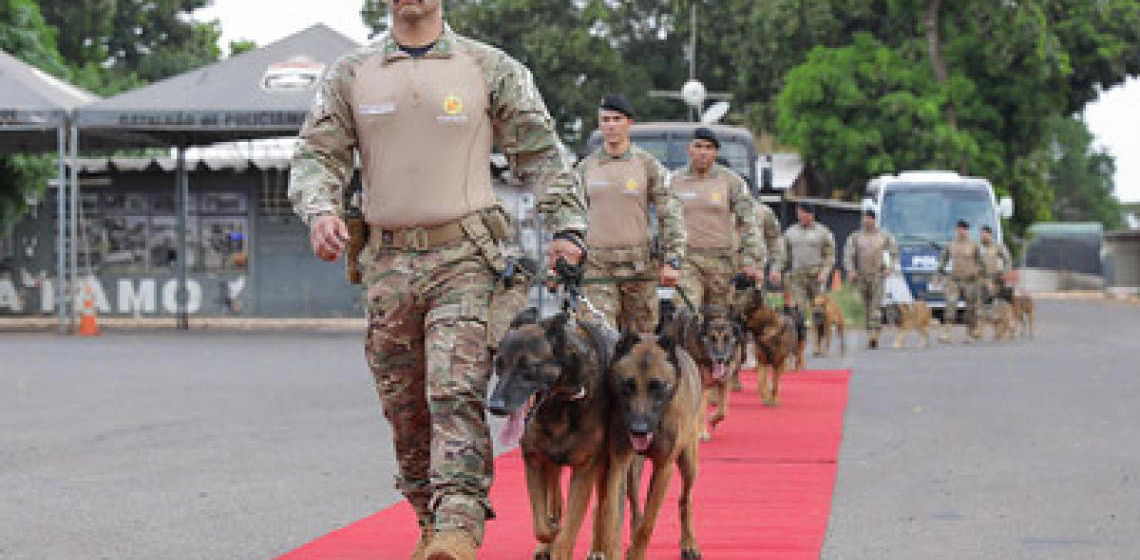 Cães da Polícia Militar do DF recebem homenagem antes de aposentadoria