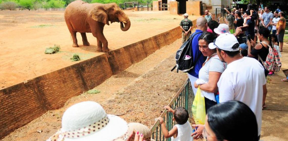 Dia das Crianças no Zoo de Brasília teve diversão e educação para toda a família