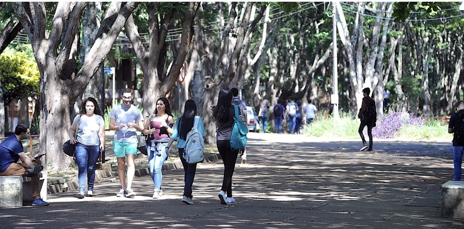 Educação: Universidade de Londrina faz intercâmbio em Dubai