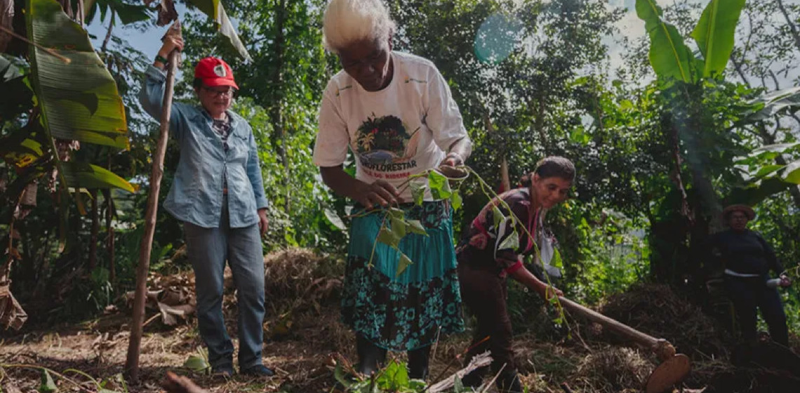 Agroecologia feminista para enfrentar os incêndios criminosos no Brasil 