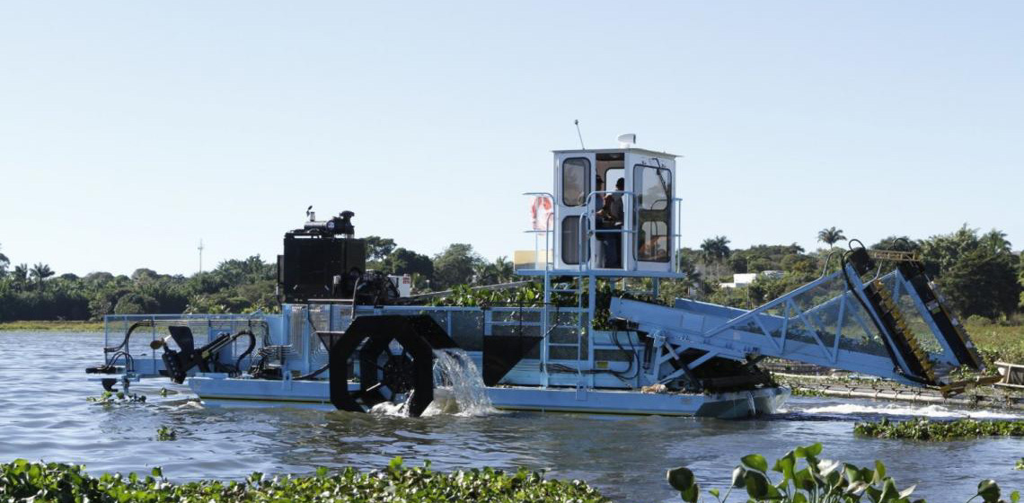 Plantas aquáticas não afetam a qualidade das águas do Lago Paranoá, no DF