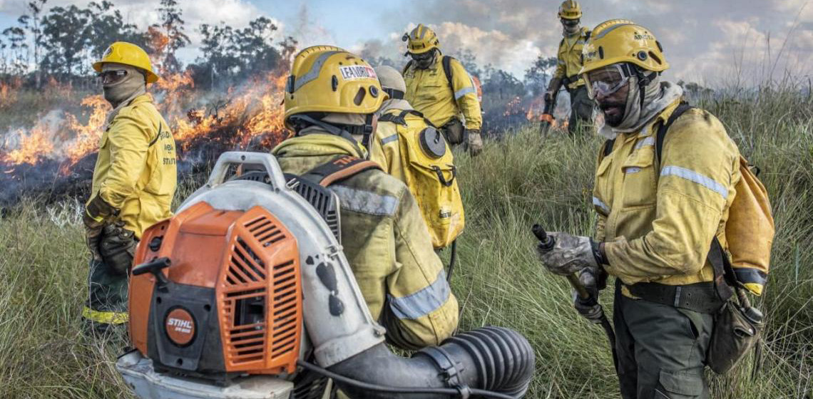 Fórum no Distrito Federal discute prevenção e combate a incêndios florestais