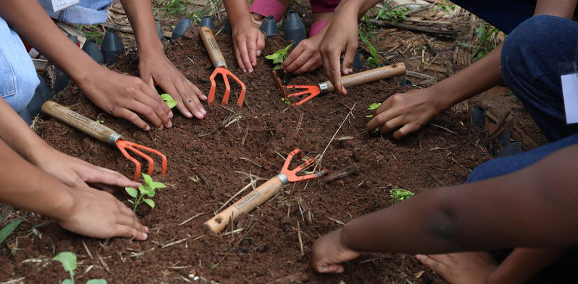 Colégio público em Brazlândia se destaca por adaptar aulas à realidade dos alunos