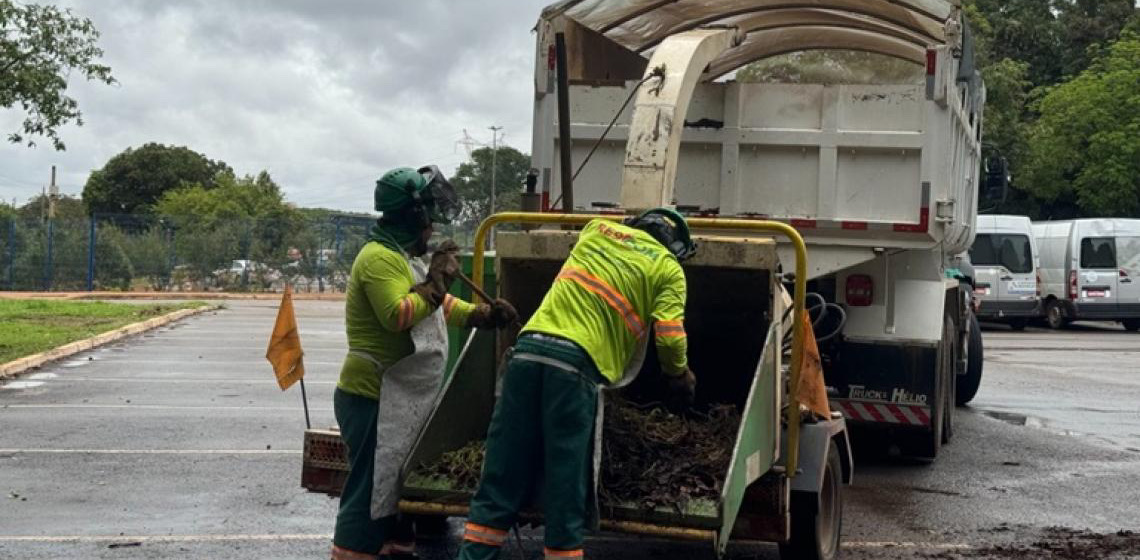 Operação dá destinação correta a resíduos verdes no DF; saiba como funciona