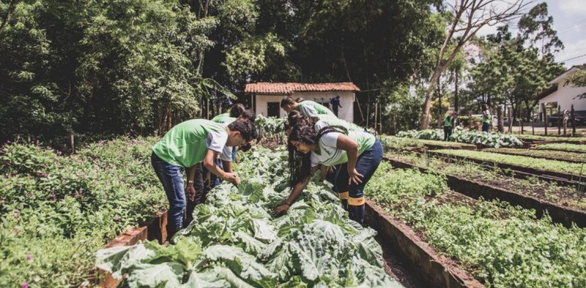 Estudantes do campo agora têm vagas reservadas no Sisu