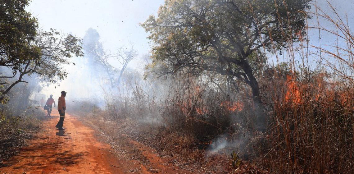 Saiba quais são os canais para denunciar incêndios florestais no DF