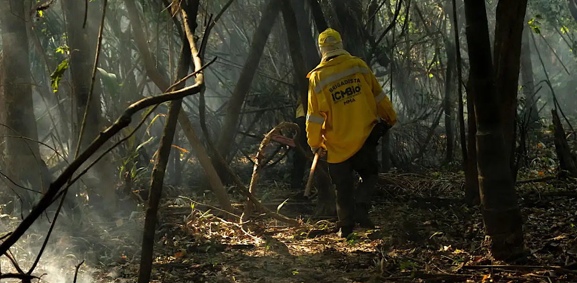 Amazônia tem o maior número de queimadas e incêndios em 17 anos 