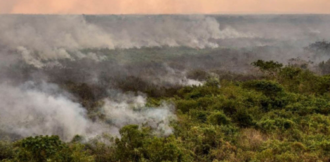 Brasil aprova planos de prevenção contra desmatamento na Caatinga e Pantanal