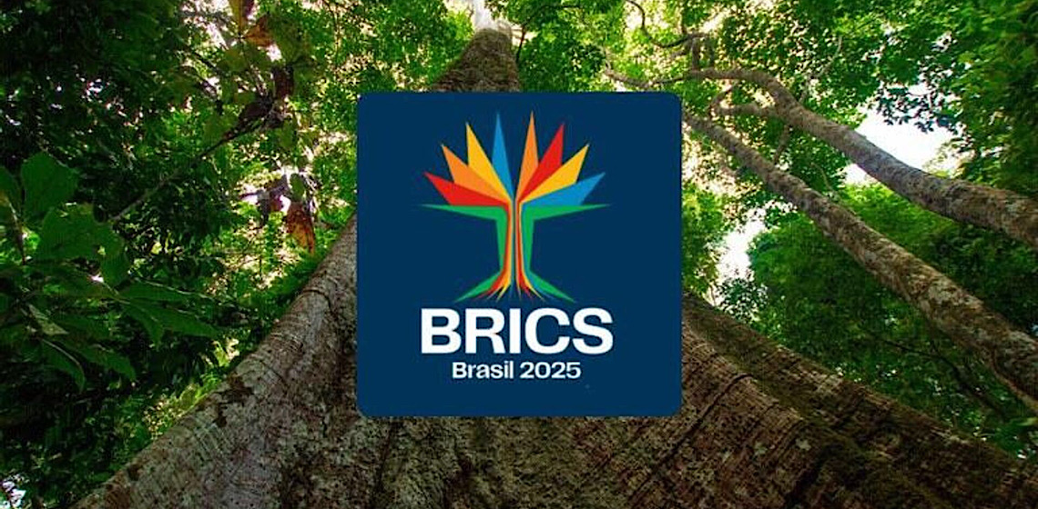 Sumaúma: árvore amazônica é escolhida como logotipo do BRICS Brasil