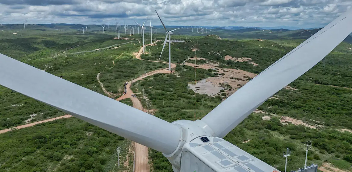 Pesquisadores alertam para impactos ambientais negativos de parques eólicos