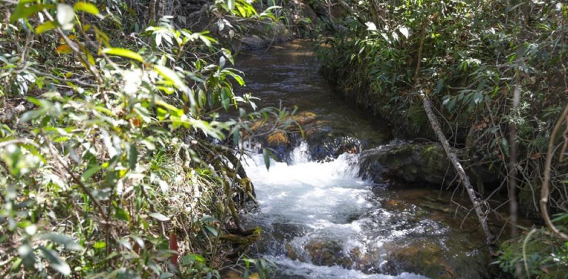 Brasília promove 5ª Conferência Distrital do Meio Ambiente com foco na emergência climática