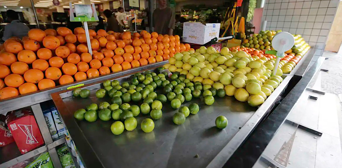 Capacidade de aprendizado das crianças pode ser melhorada pela alimentação, diz geneticista