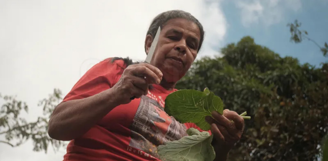 Pernambucana ganha prêmio de jornalismo com reportagens sobre alimentação de mulheres negras