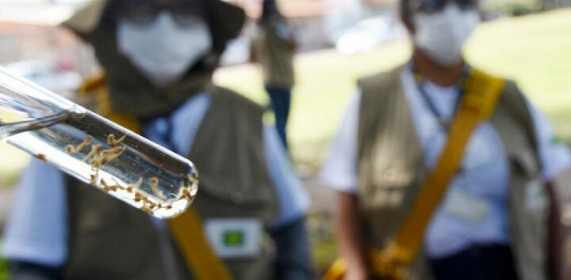 Entenda porque os casos de dengue aumentam no verão. E proteja-se