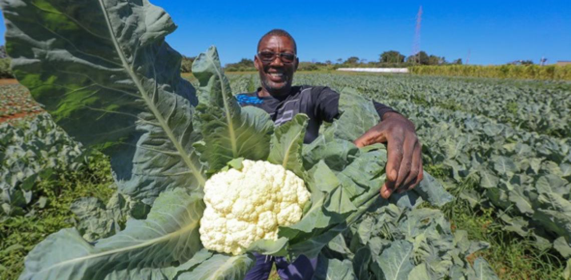 Investimento em programas de aquisição de alimentos fortalece agricultura familiar e segurança alimentar