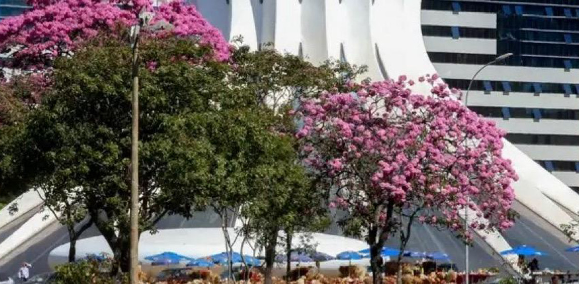 Brasília é eleita a melhor cidade do mundo para nômades digitais