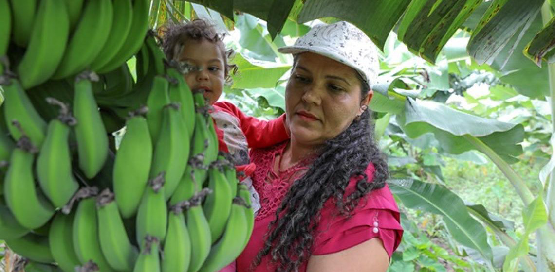 DF concedeu R$ 10 milhões em créditos rurais a produtores e agricultores familiares