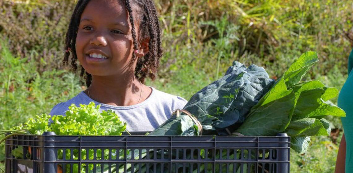 Imposto zero para alimentos da cesta básica vai aliviar bolso dos mais pobres