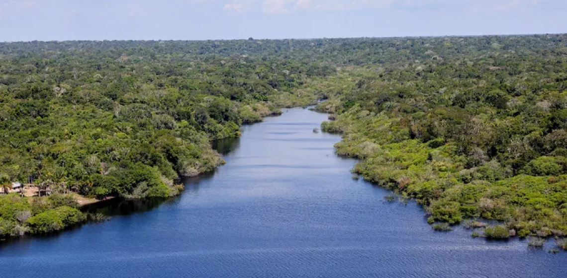 Manguezais, corais e povos ameaçados: os riscos da exploração petrolífera na Amazônia