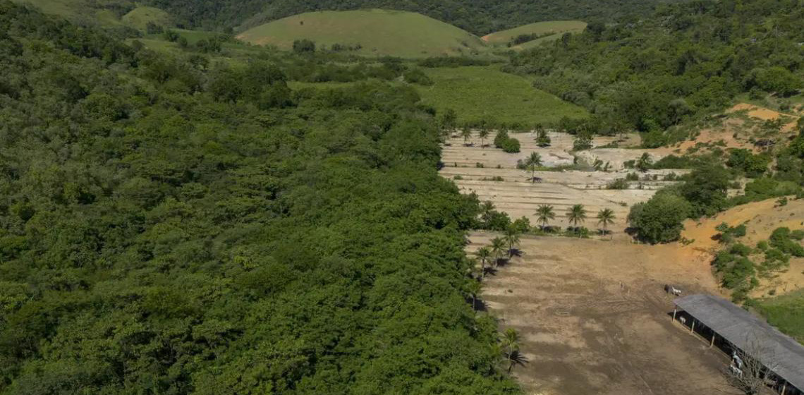 Atividades econômicas ilegais ampliaram desmatamento na Mata Atlântica