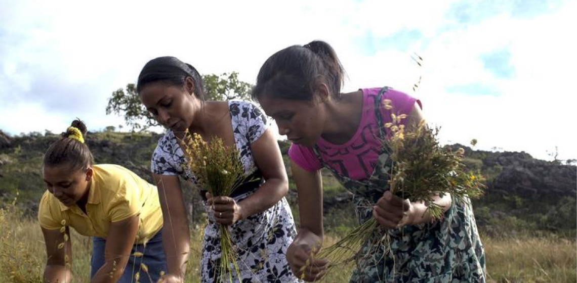 Projeto do Banco Mundial adota práticas sustentáveis de agricultura no Brasil 