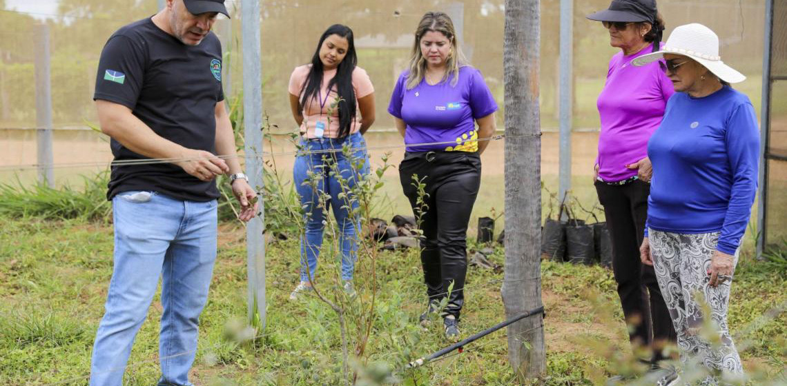 Mulheres do campo participam de curso sobre o cultivo de uvas na Fazenda Água Limpa