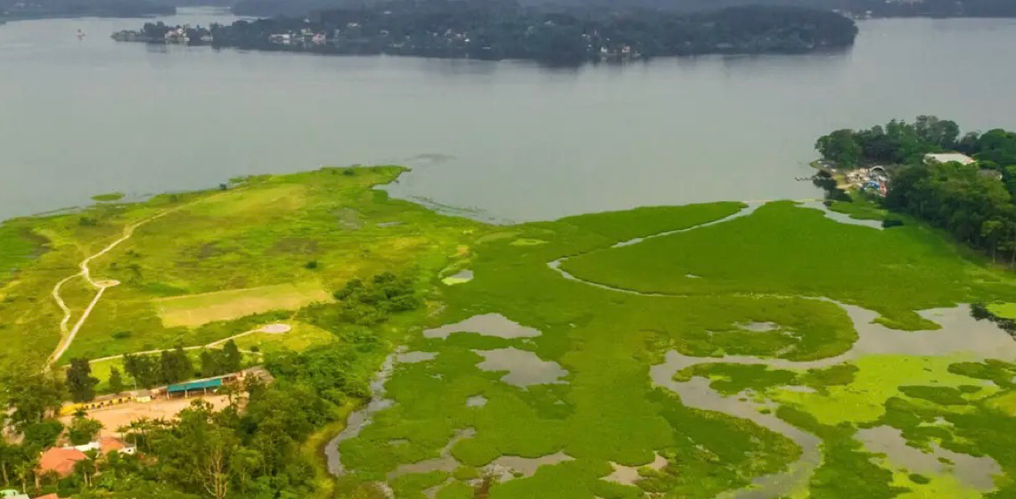 Parque na orla da represa Guarapiranga tem 261 espécies de aves 