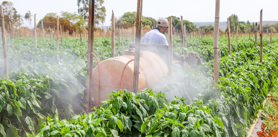 DF fortalece presença internacional e se consolida como polo estratégico do agronegócio