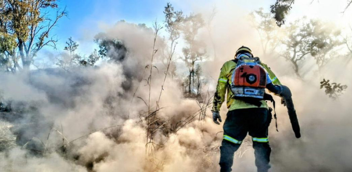 Distrito Federal declara estado de emergência ambiental para combater incêndios florestais