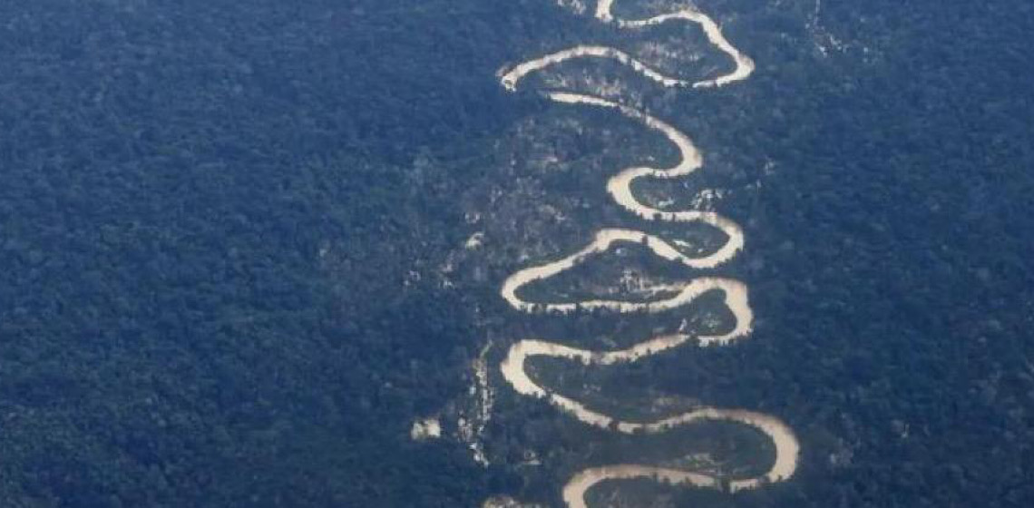 Desmatamento na Amazônia atinge menor índice da série histórica para fevereiro