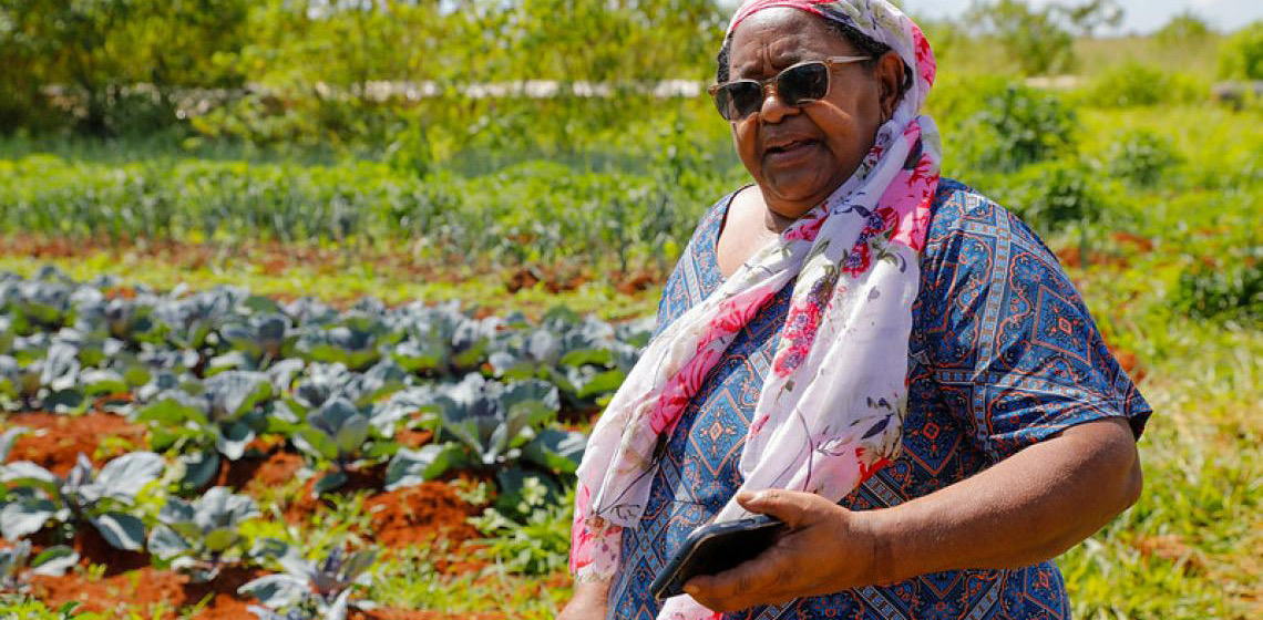 Protagonismo feminino: 9,4 mil mulheres cultivam alimentos e fortalecem a agricultura familiar no DF