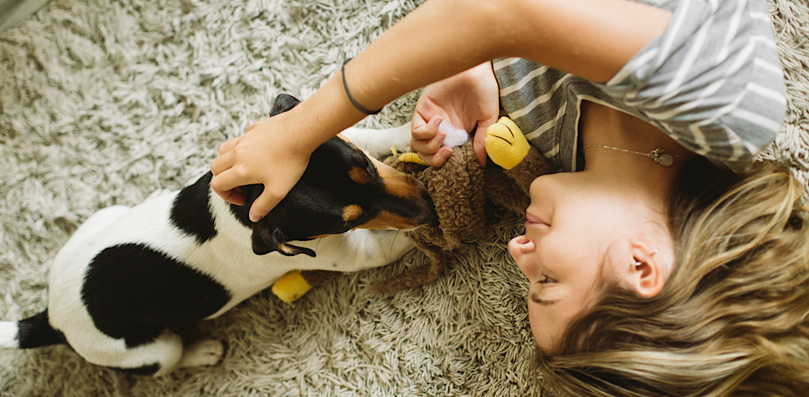 Vida em apartamento: desafios e soluções para o bem-estar dos animais de estimação