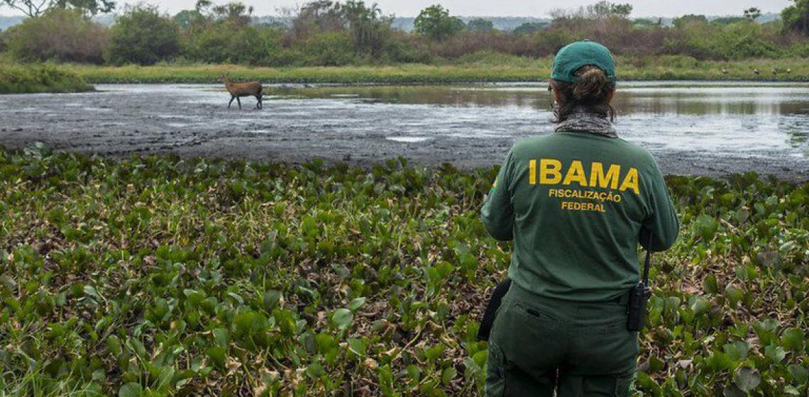 Ibama pode agir no combate a dano ambiental se estados forem omissos